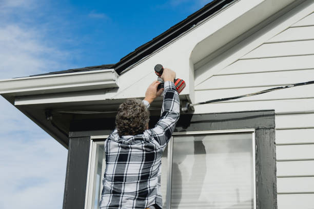 Best Siding Painting and Refinishing  in Carson City, MI